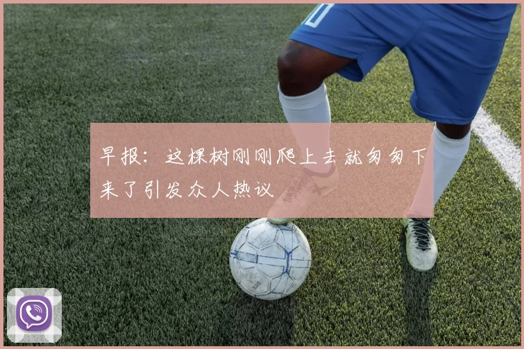 早报：这棵树刚刚爬上去就匆匆下来了引发众人热议